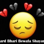 Dard Bhari Bewafa Shayari