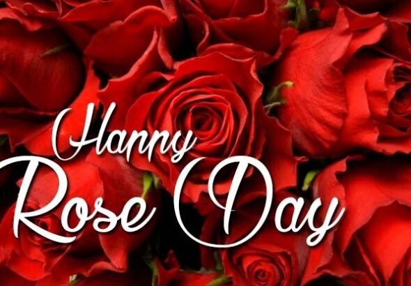 Happy Rose Day Love Shayari in Hindi