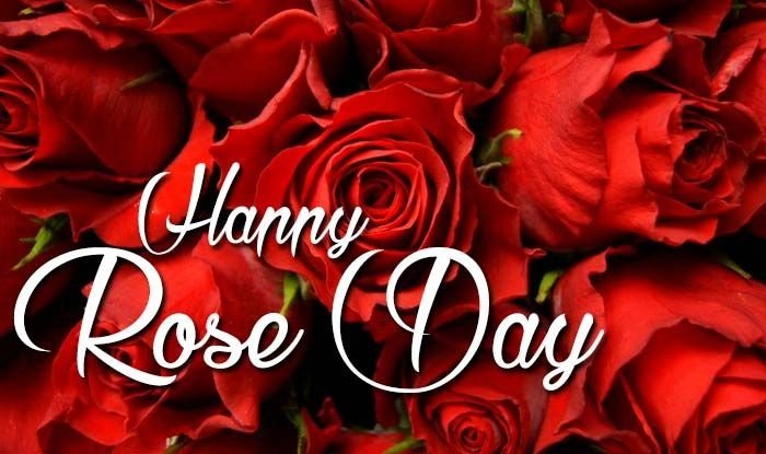 Happy Rose Day Love Shayari in Hindi