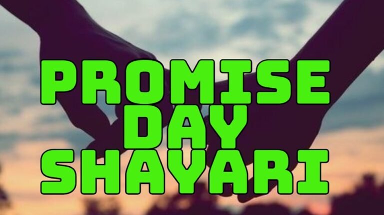 Promise Day Shayari